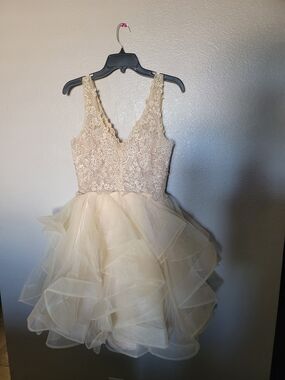 Dancing Queen Cream Lace Bodice Tulle Ruffle Dress